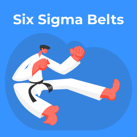Roles and Responsibilities in Six Sigma Projects: Green Belts, Black Belts, and Champions
