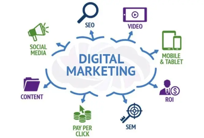 Digital Marketing Training & Certification